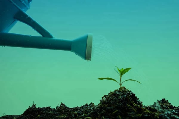 CLIMATE & ENVIRONMENT